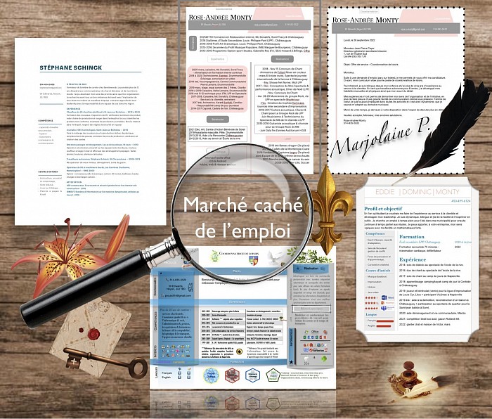 Confection de C.V. Personnalisé & Montage originale pour publication