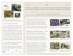 Brochures personnalisées