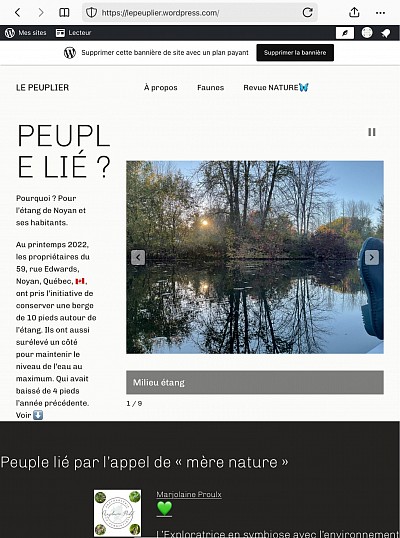 Le peuplier en développement