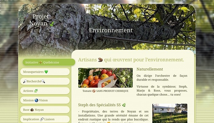 Projet Noyan, La valeur de chacune des petites actions déployées pour le suivant