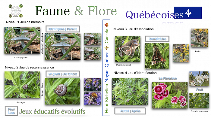 Collections des plus belles photographies et images captées à Noyan, Québec, Canada 🇨🇦