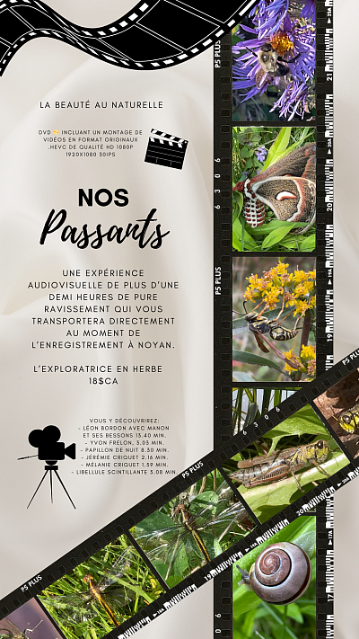 MProduction présente Nos passants