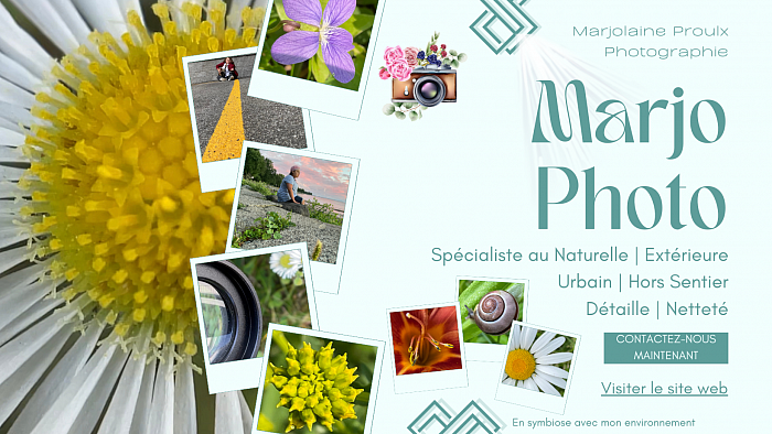 Format Publication Facebook pour Marjolaine Proulx Photographie par Montage Pro ULX