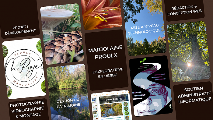 Projet Marjolaine Proulx. Calendrier de l’année 2024 à finaliser