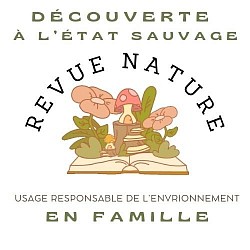 Logo Idée en cour