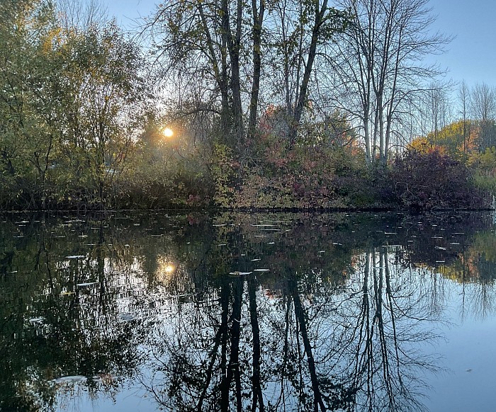 Milieu de l’étang