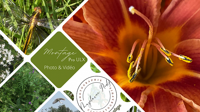 Format de la page couverture sur Facebook